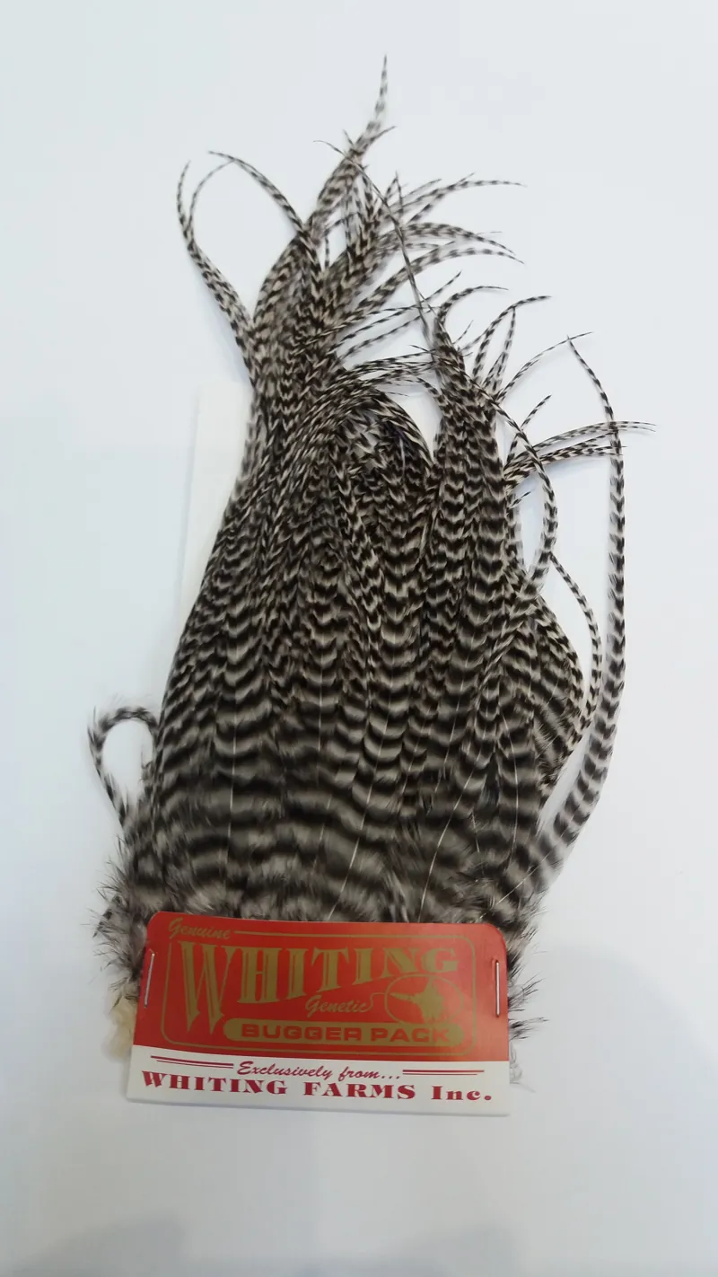 Whiting Bugger Pack in Grizzly